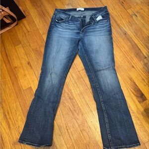 BKE Women's Boot Cut Jeans in Blue